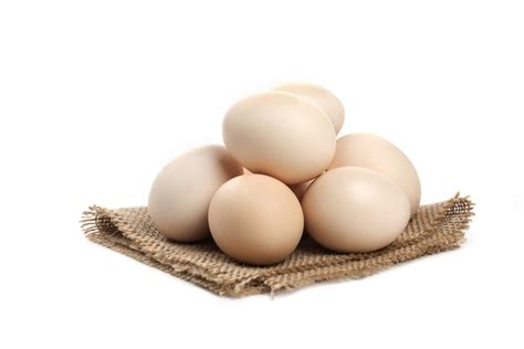 ördek yumurtası nerede satılır